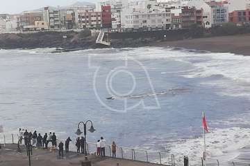 Cachalote muerto varado en la playa de Melenara (Foto TA y Naida Pérez González)